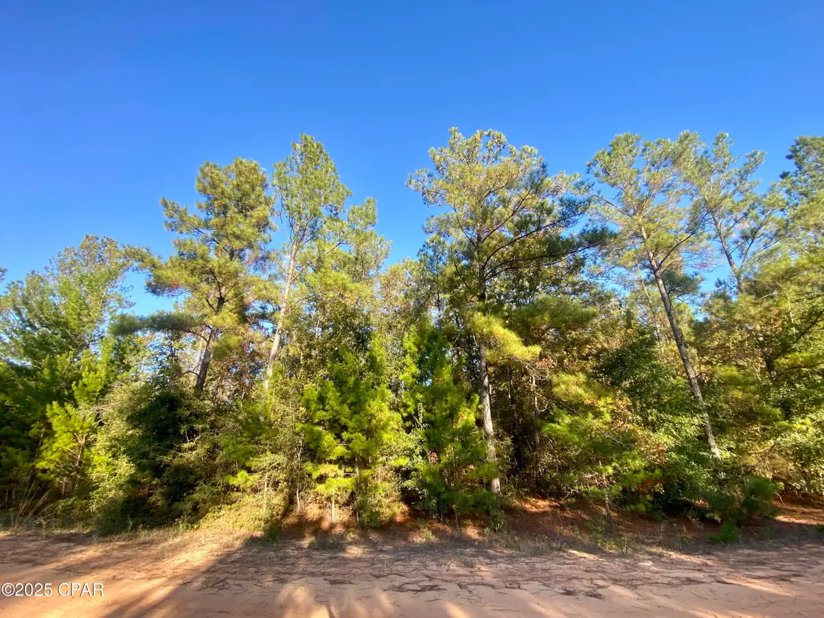 Lot 9 Adams Drive, Alford, FL 32420 - Image #1