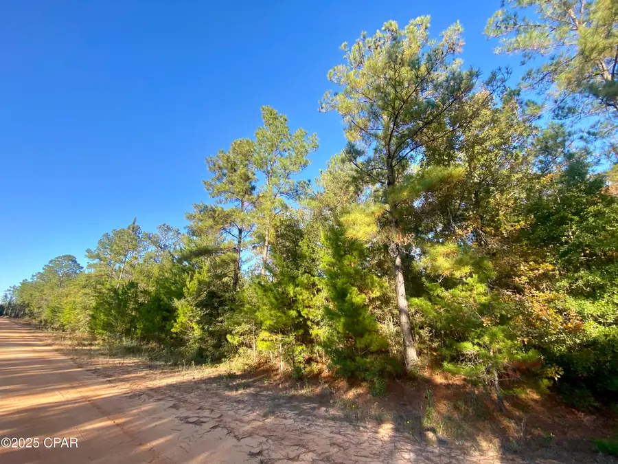 Lot 9 Adams Drive, Alford, FL 32420 - Image #2