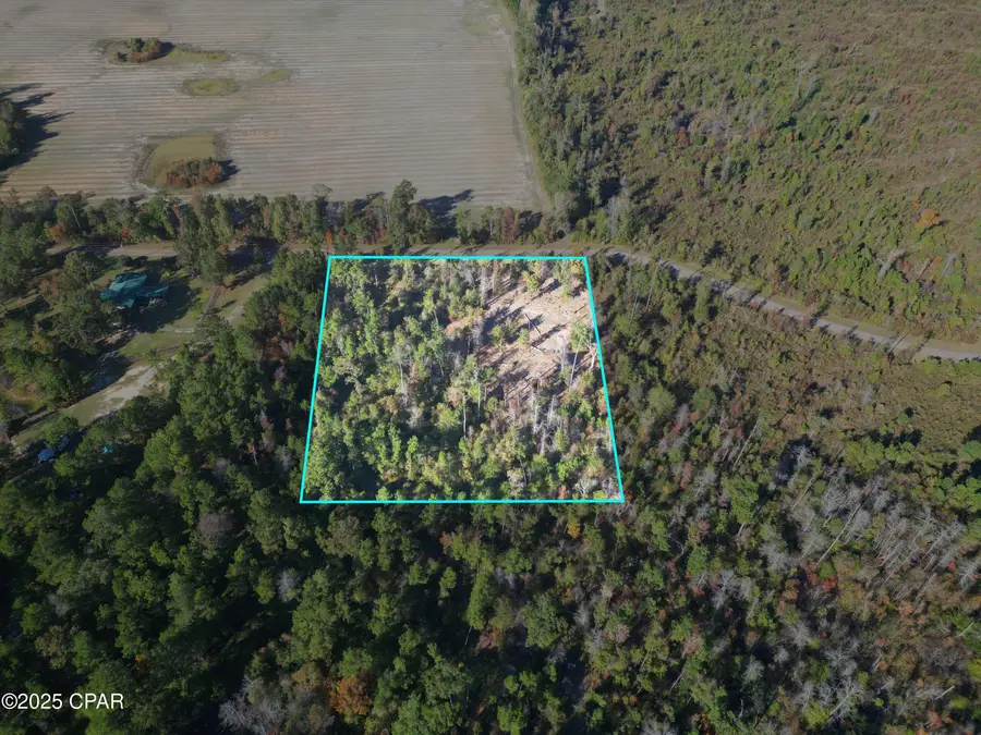0 Parramore Road, Sneads, FL 32460 - Image #3