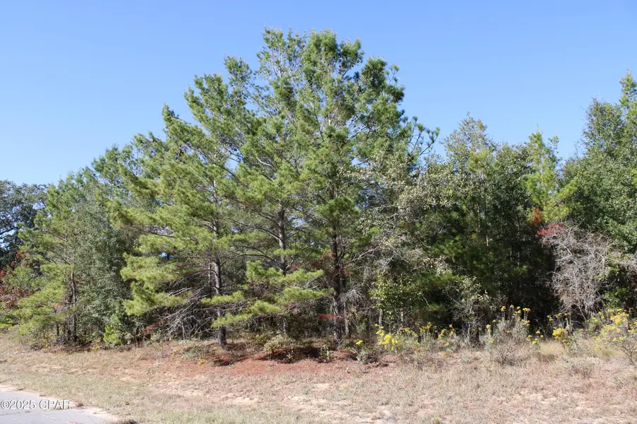 0 Overton Drive, Chipley, FL 32428 - Image #2