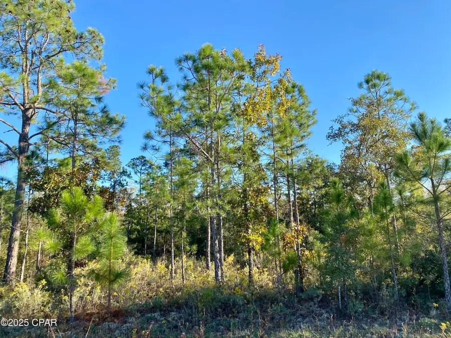 Lot 128 Nezperce Drive, Alford, FL 32420 - Image #2