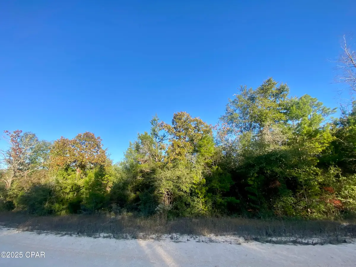 Lot 34 Anderson Drive, Alford, FL 32420 - Image #1