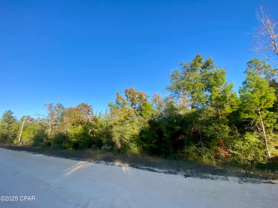 Lot 34 Anderson Drive, Alford, FL 32420 - Image #2