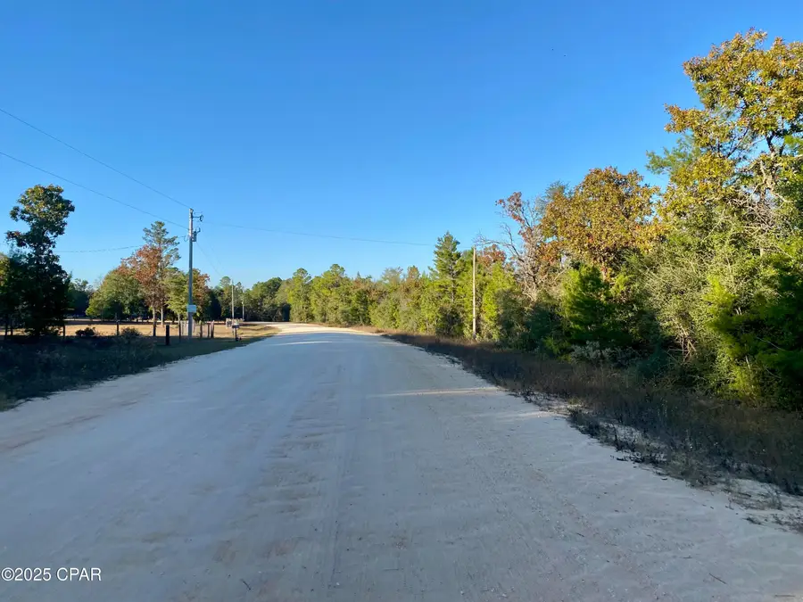 Lot 34 Anderson Drive, Alford, FL 32420 - Image #3
