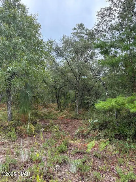 0 NW White Road, Altha, FL 32421 - Image #1