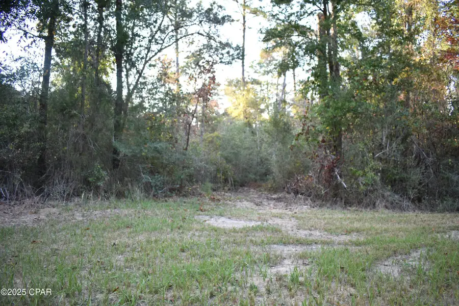 Lot 1 Lakeview Rd., Caryville, FL 32427 - Image #3