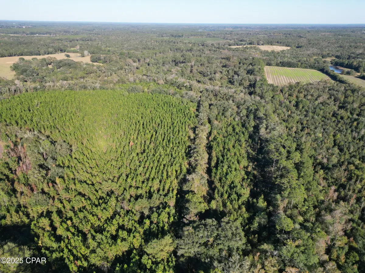 0000 Arrant Road, Westville, FL 32464 - Image #1