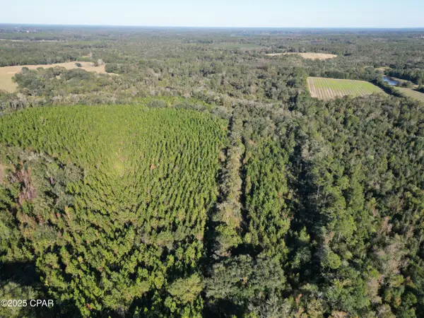 0000 Arrant Road, Westville, FL 32464