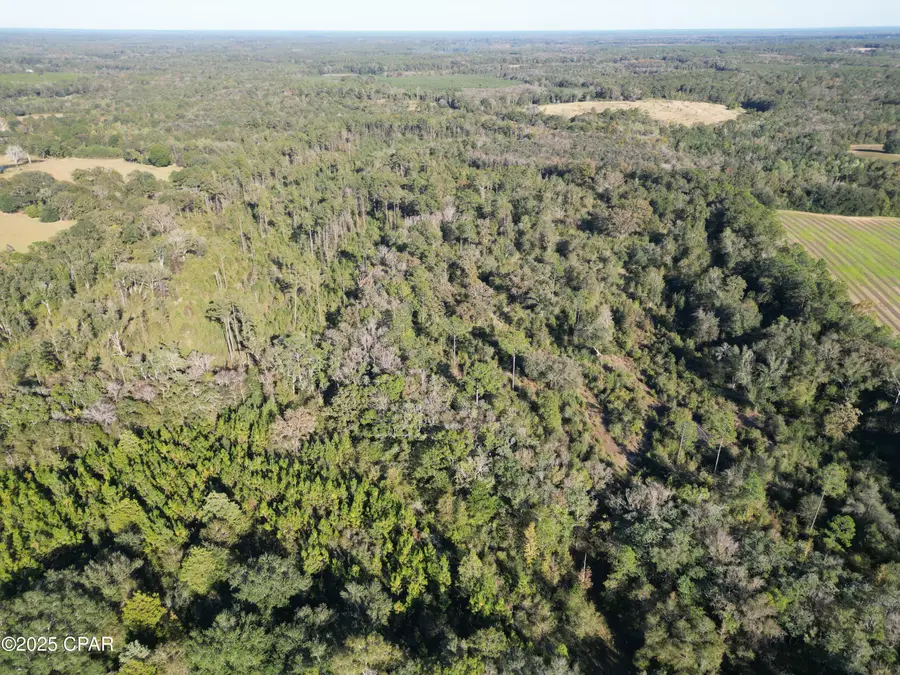 0000 Arrant Road, Westville, FL 32464 - Image #3