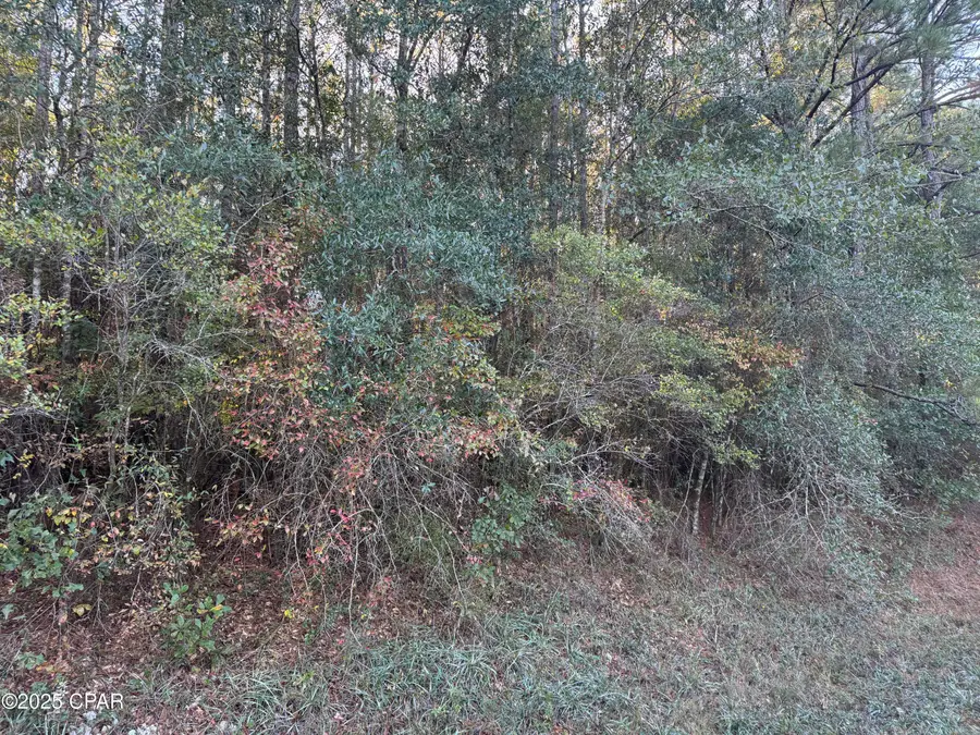 0000 County Road 160, Bonifay, FL 32425 - Image #2