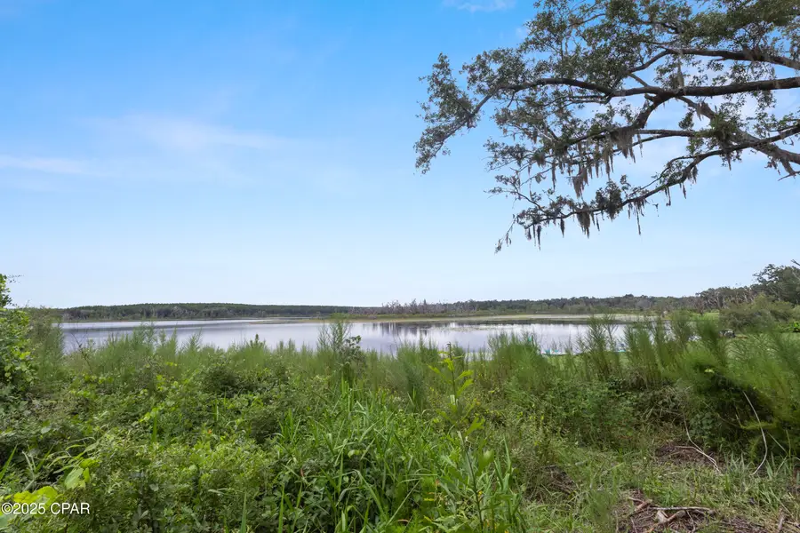 TBA Wages Pond Road, Chipley, FL 32428 - Image #3