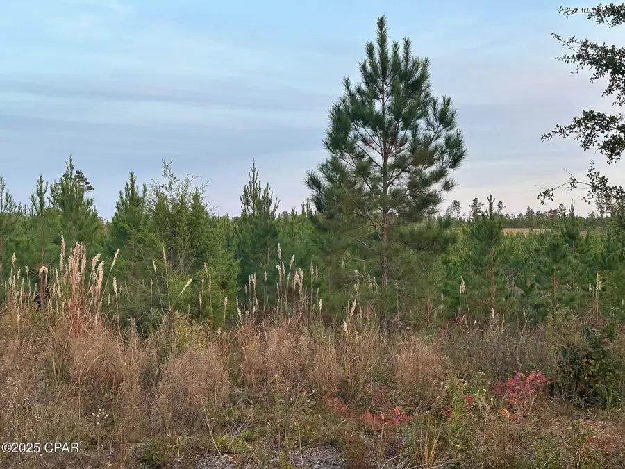 000 Bright Prospect Road, Marianna, FL 32448 - Image #2