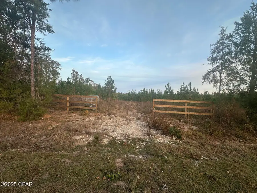 000 Bright Prospect Road, Marianna, FL 32448 - Image #3