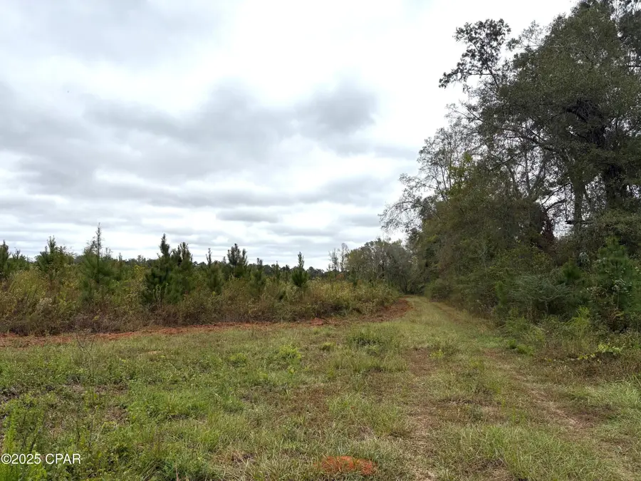 tbd N North Golden Road, Cottondale, FL 32431 - Image #3