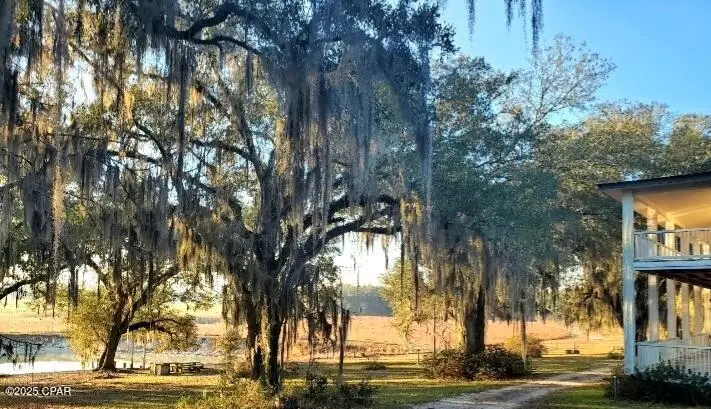 4686 Dunaway Road, Bascom, FL 32423 - Image #3