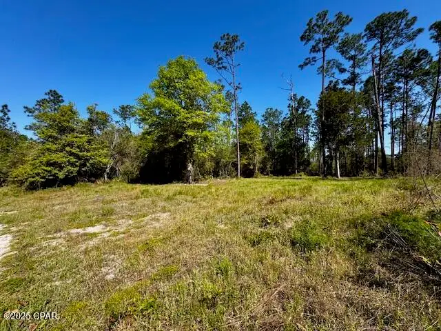 TBD Akers Trail, Chipley, FL 32428 - Image #1