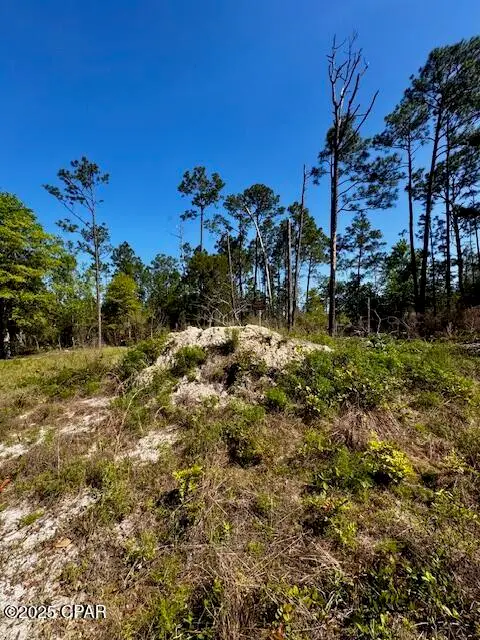 TBD Akers Trail, Chipley, FL 32428 - Image #3