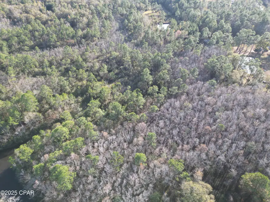 1555 Highway 177a, Bonifay, FL 32425 - Image #3