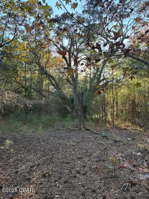 3389 Gainer Road, Chipley, FL 32428 - Image #1