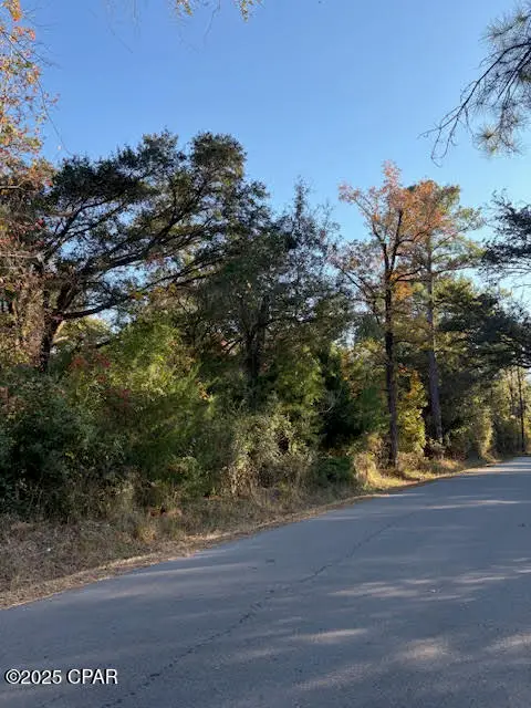 3389 Gainer Road, Chipley, FL 32428 - Image #3