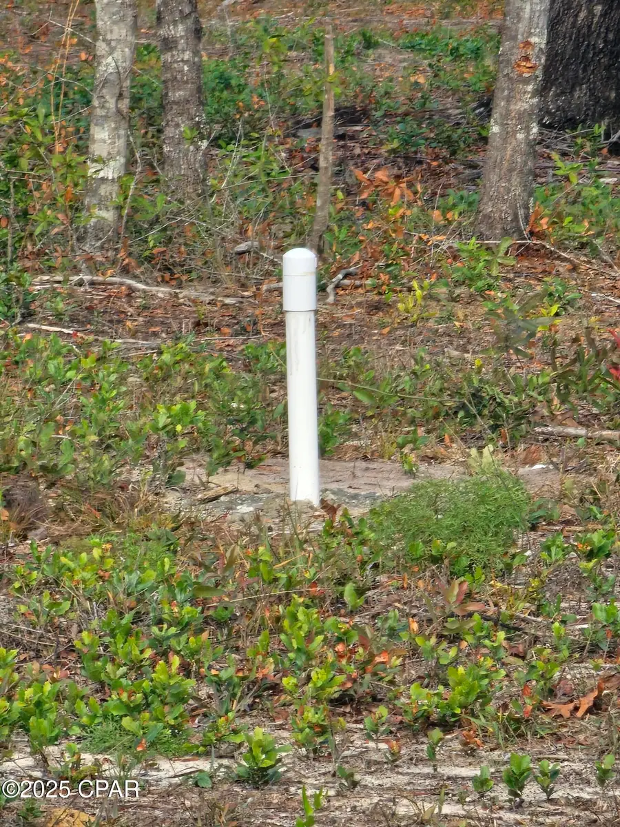 10433 Western Road, Fountain, FL 32438 - Image #3