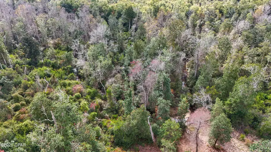 35 2n 12w, Fountain, FL 32438 - Image #2