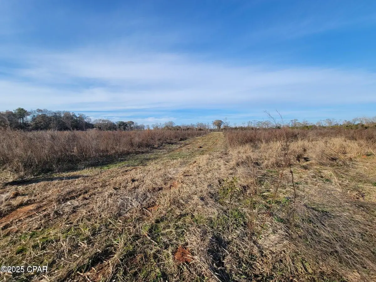 TBD Gainer Cemetery Road, Graceville, FL 32440 - Image #1