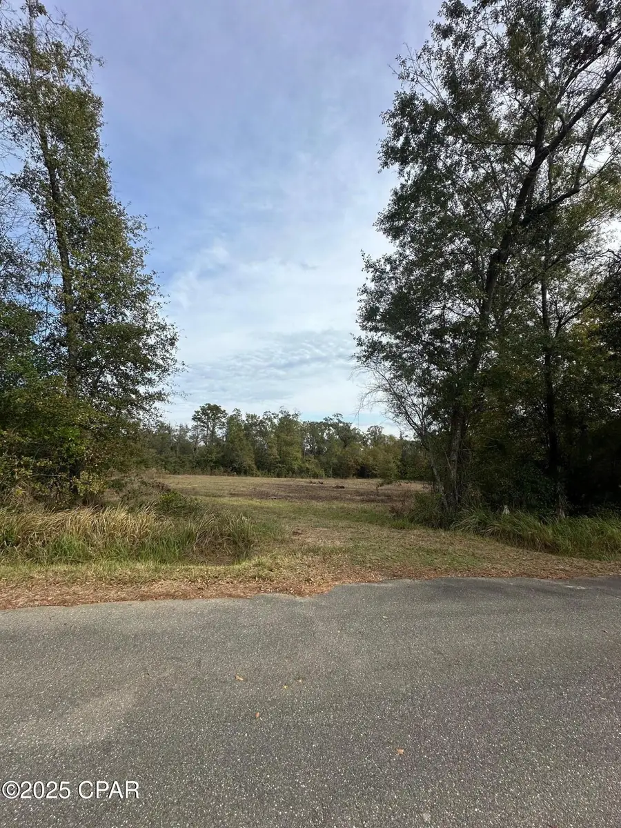 2194 Mohawk Trail, Sneads, FL 32460 - Image #2