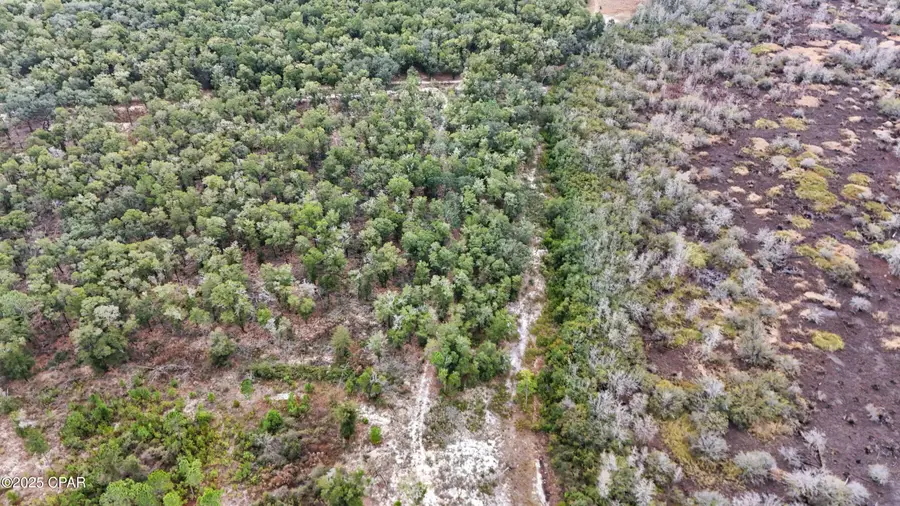 0 Pine Log Road, Chipley, FL 32428 - Image #3