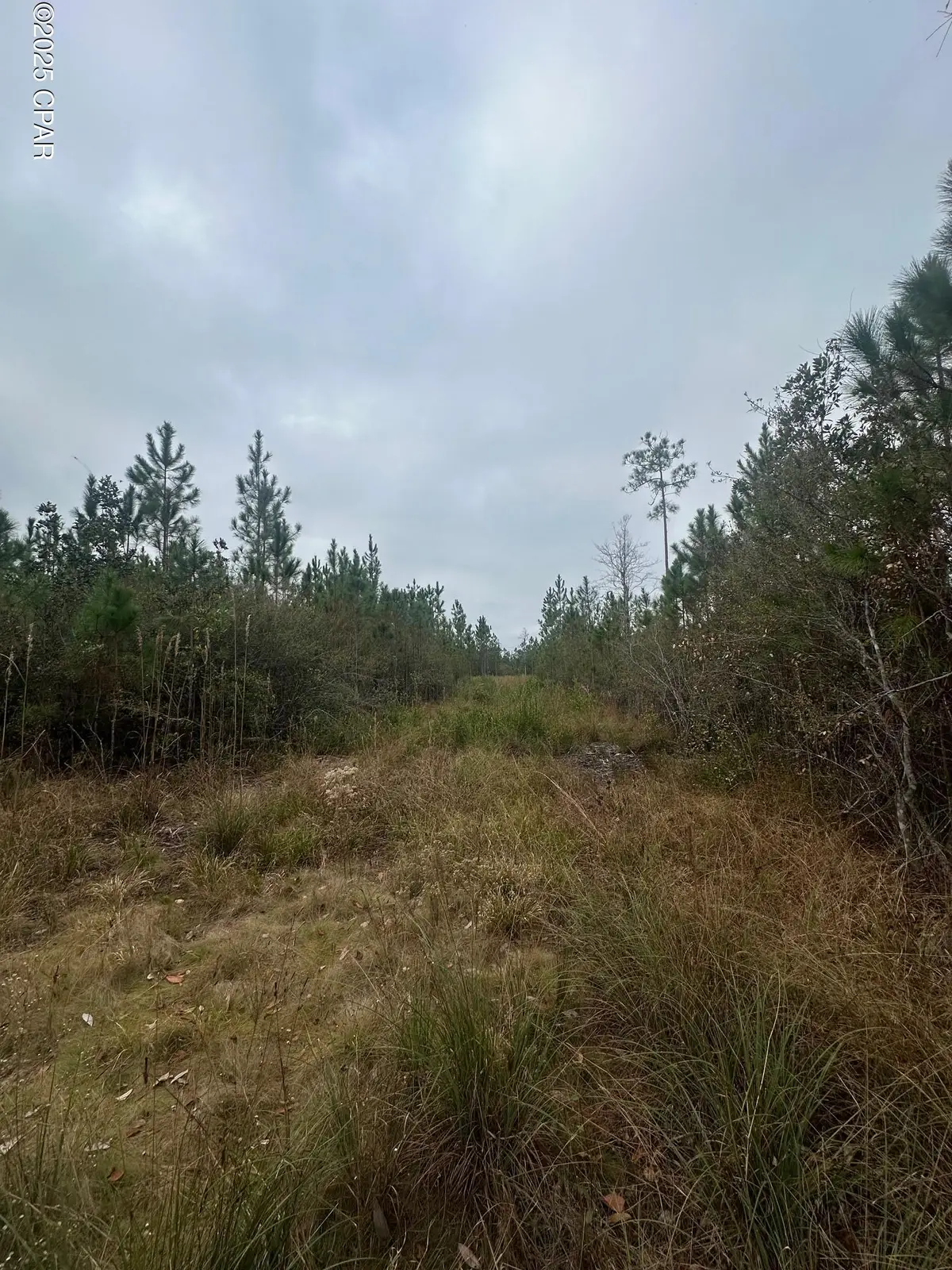 00 Fl-71, Blountstown, FL 32424 - Image #1