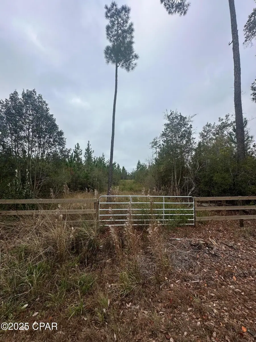 00 Fl-71, Blountstown, FL 32424 - Image #3