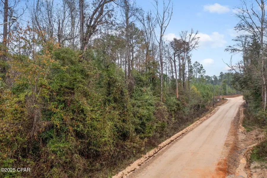 XXX White Road #1.14 Acres, Chipley, FL 32428 - Image #2