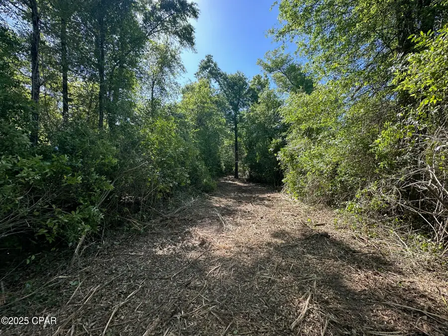 00 Marcus Drive, Greenwood, FL 32443 - Image #2