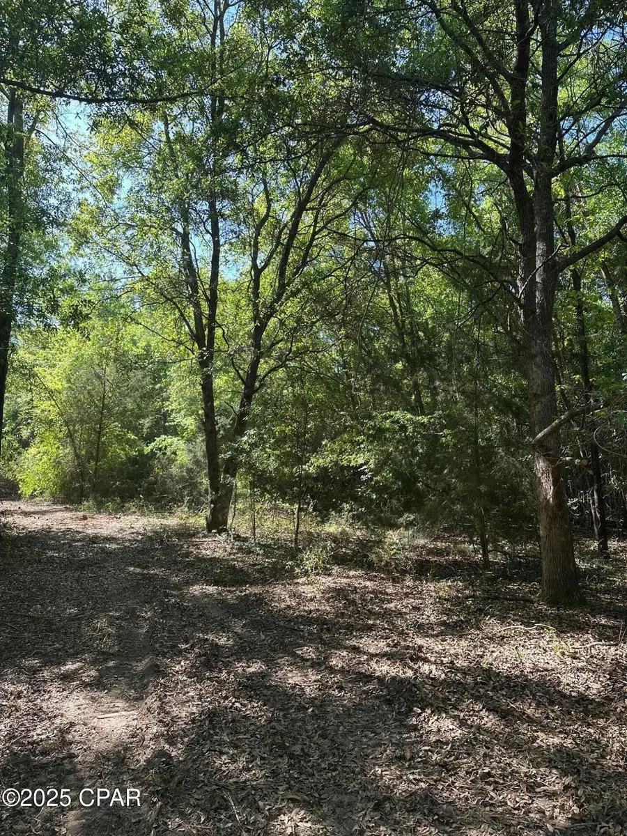 00 Marcus Drive, Greenwood, FL 32443 - Image #3