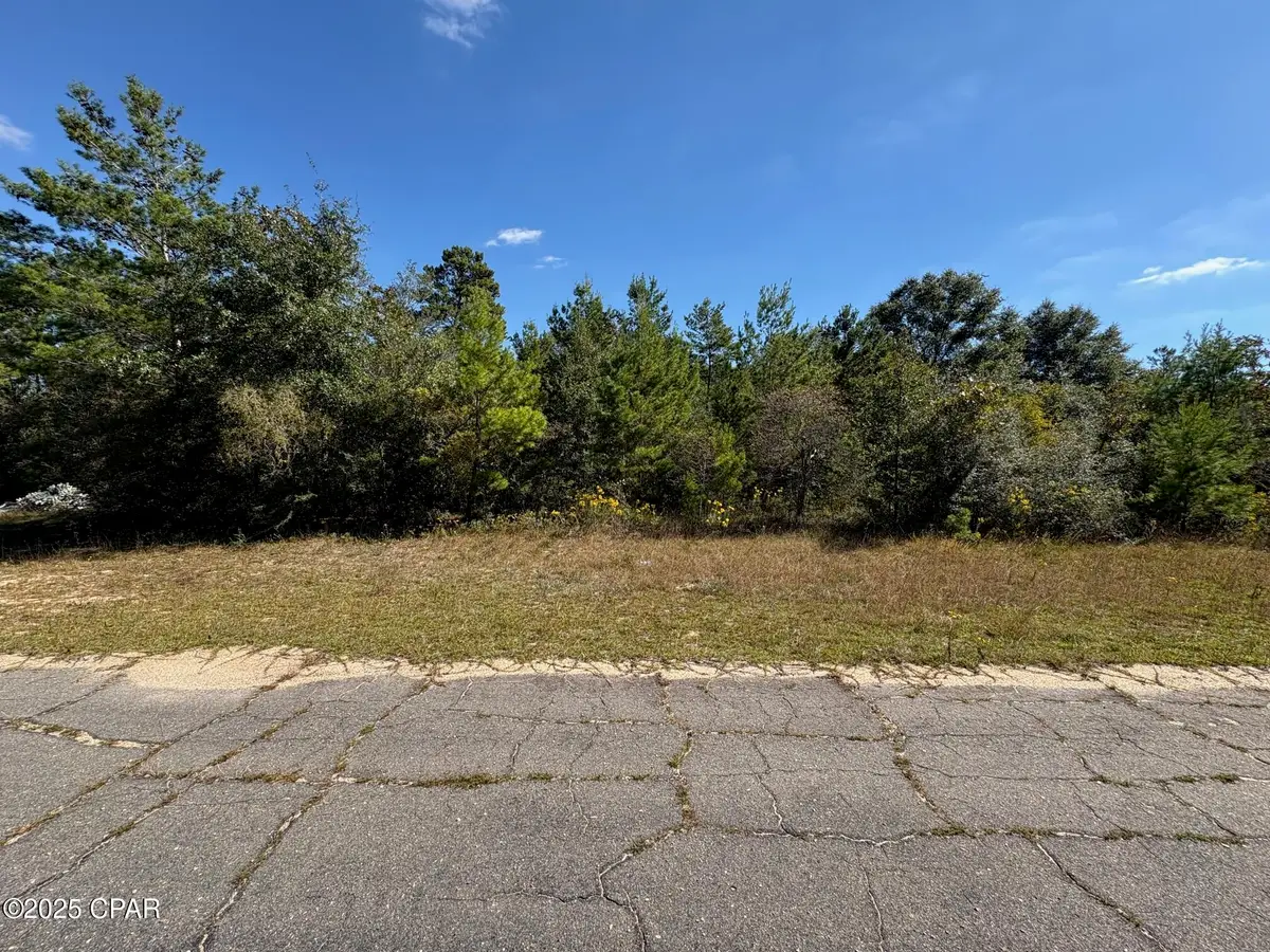 LOT 15 Waterfall Court, Chipley, FL 32428 - Image #1