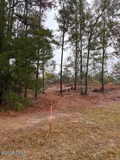 4593 Meadowview Road, Marianna, FL 32446 - Image #3