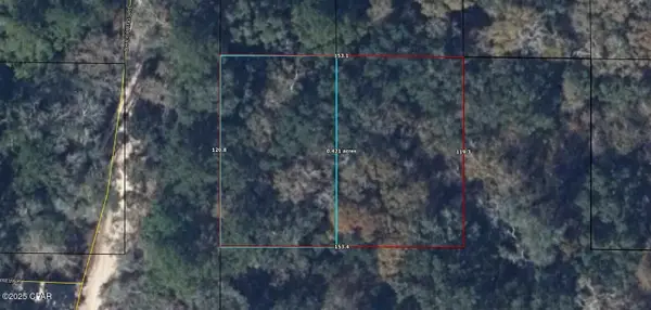 0 Blue Springs Road, Bonifay, FL 32425