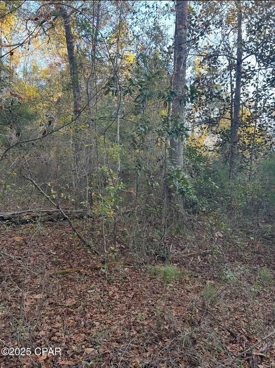 TBD Highway 90, Marianna, FL 32446 - Image #3