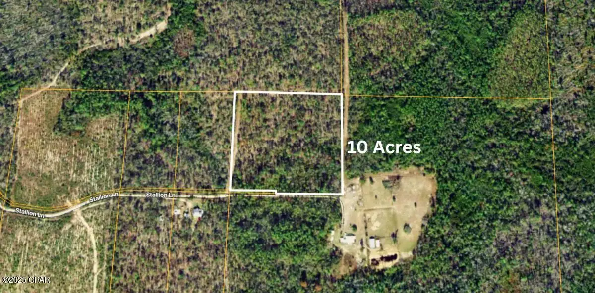 0 Stallion Lane, Marianna, FL 32448 - Image #1