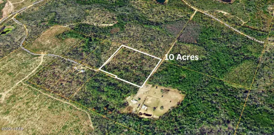 0 Stallion Lane, Marianna, FL 32448 - Image #3