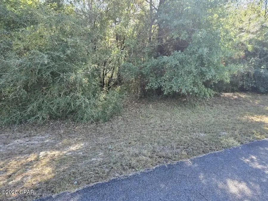 Lots 10-11 Ambassador Drive, Chipley, FL 32428 - Image #3