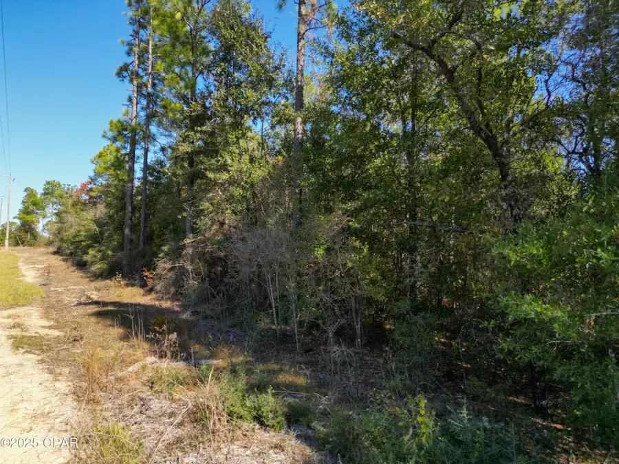 3533 Pine Log Road, Chipley, FL 32428 - Image #2