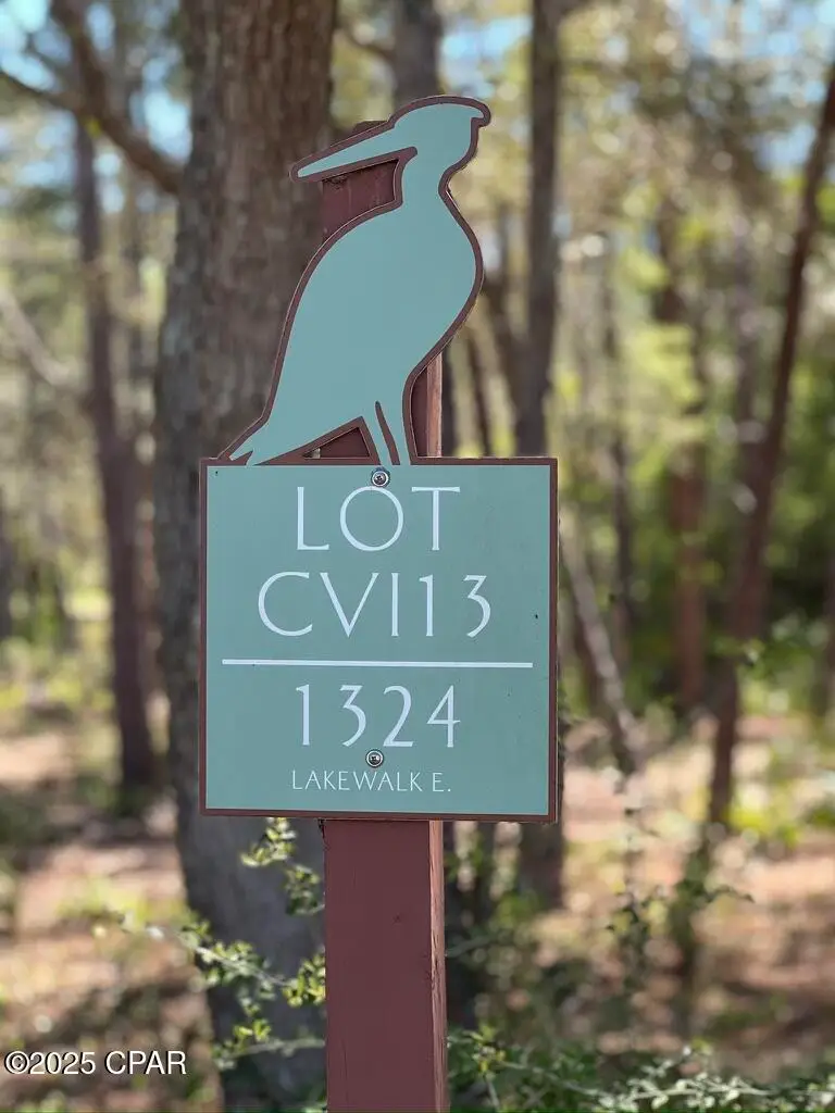 1324 E Lakewalk Circle, Panama City Beach, FL 32413 - Image #1