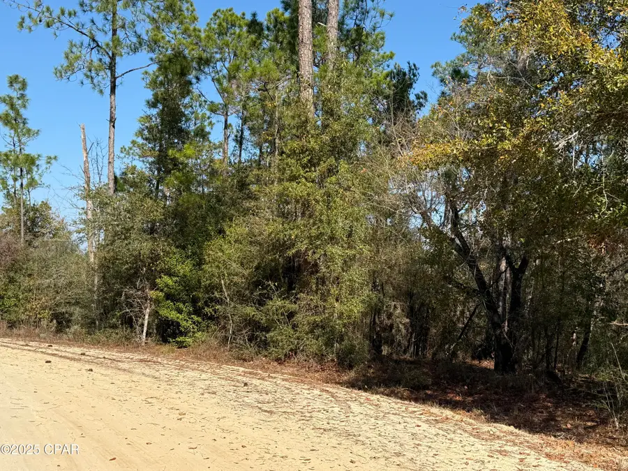 001 Anderson Drive, Alford, FL 32420 - #2