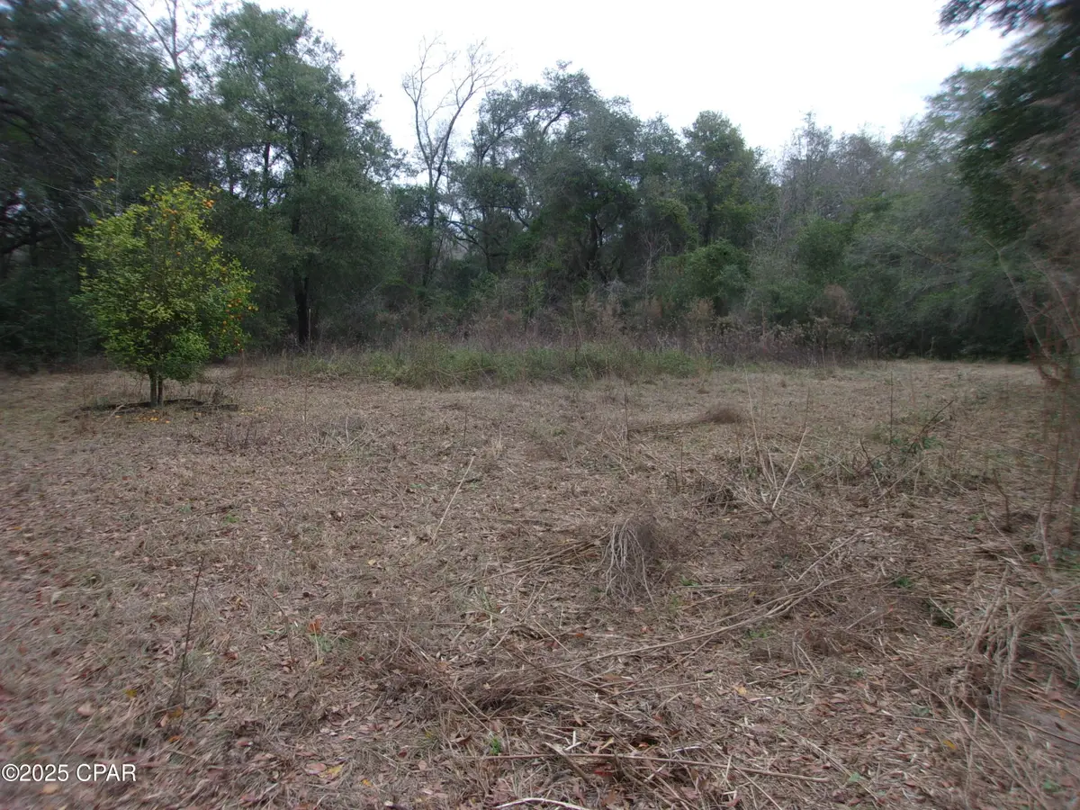 1724 Highway 173, Bonifay, FL 32425 - #1