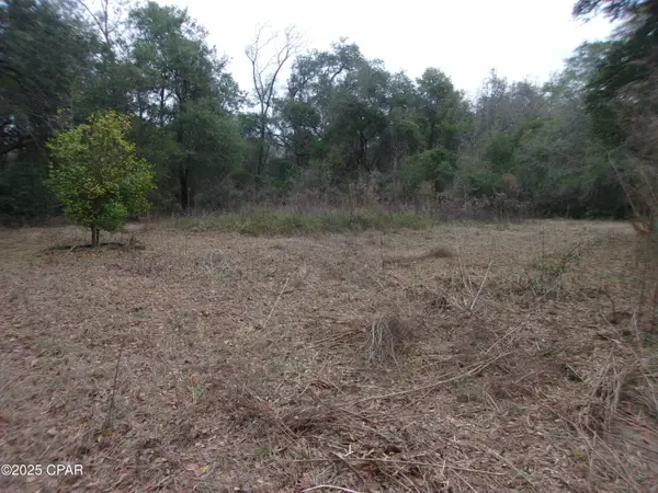 1724 Highway 173, Bonifay, FL 32425