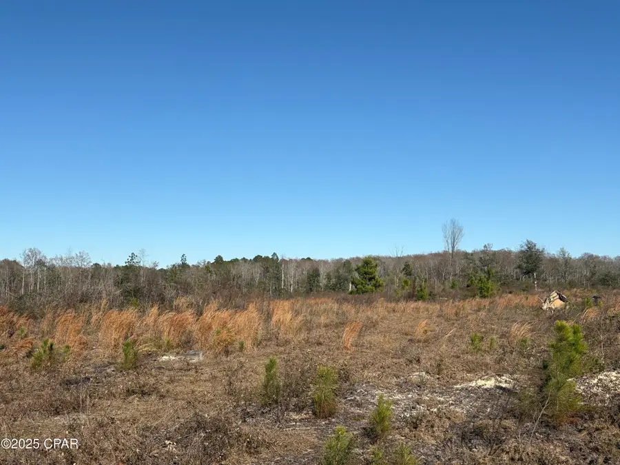 4980 Heisler Road, Graceville, FL 32440 - Image #2