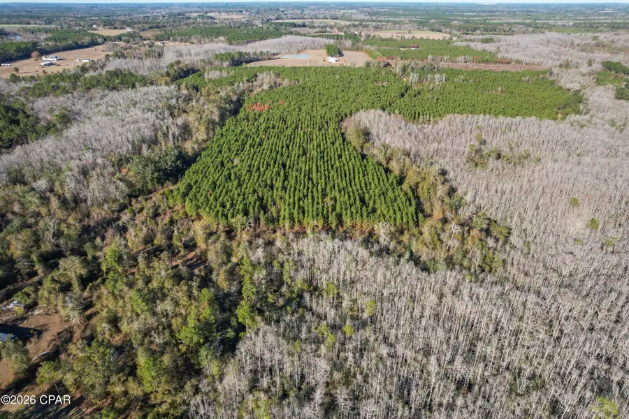 0 New Prospect Road, Chipley, FL 32428 - #3