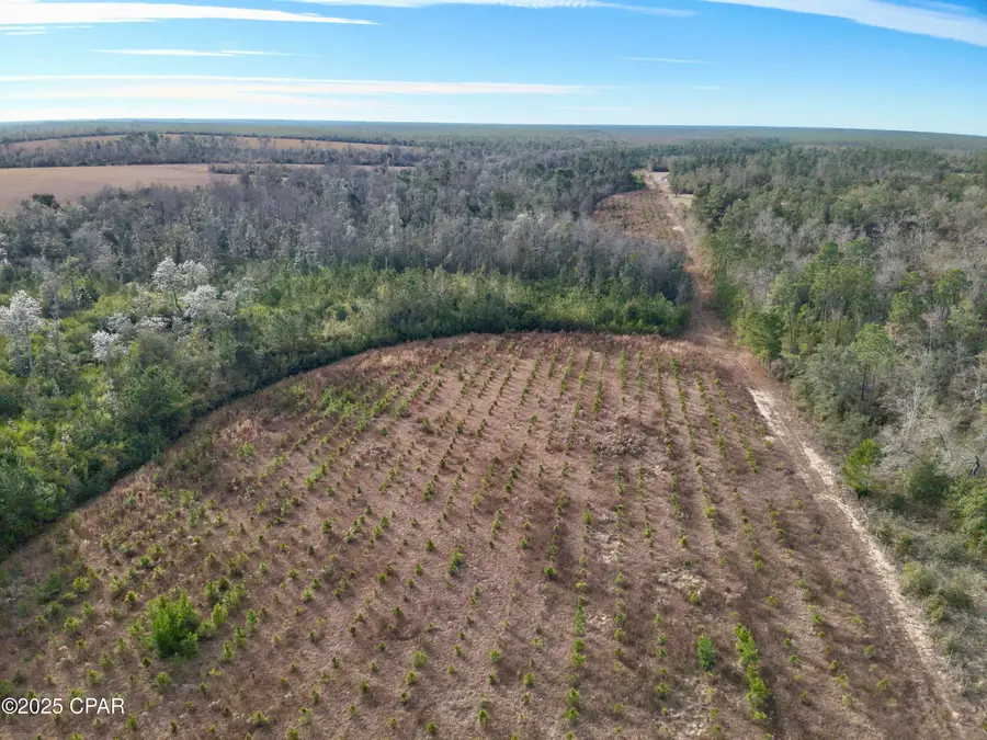 00 Crovetti Way, Alford, FL 32420 - Image #3