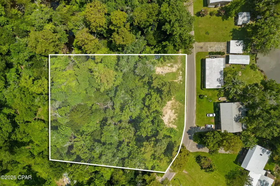 316 Byrd Parker Drive, Wewahitchka, FL 32465 - Image #2